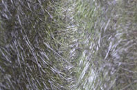 Aberystwyth fibreglass roof work